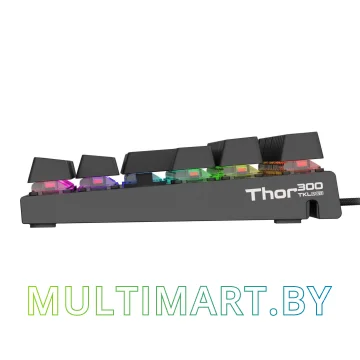 Клавиатура Genesis Thor 300 TKL RGB картинка 5